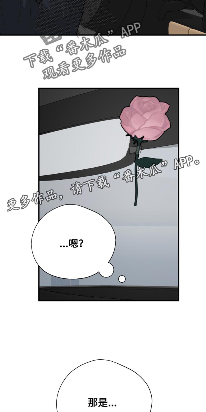 献给嚣张的你漫画,第54章：花朵2图