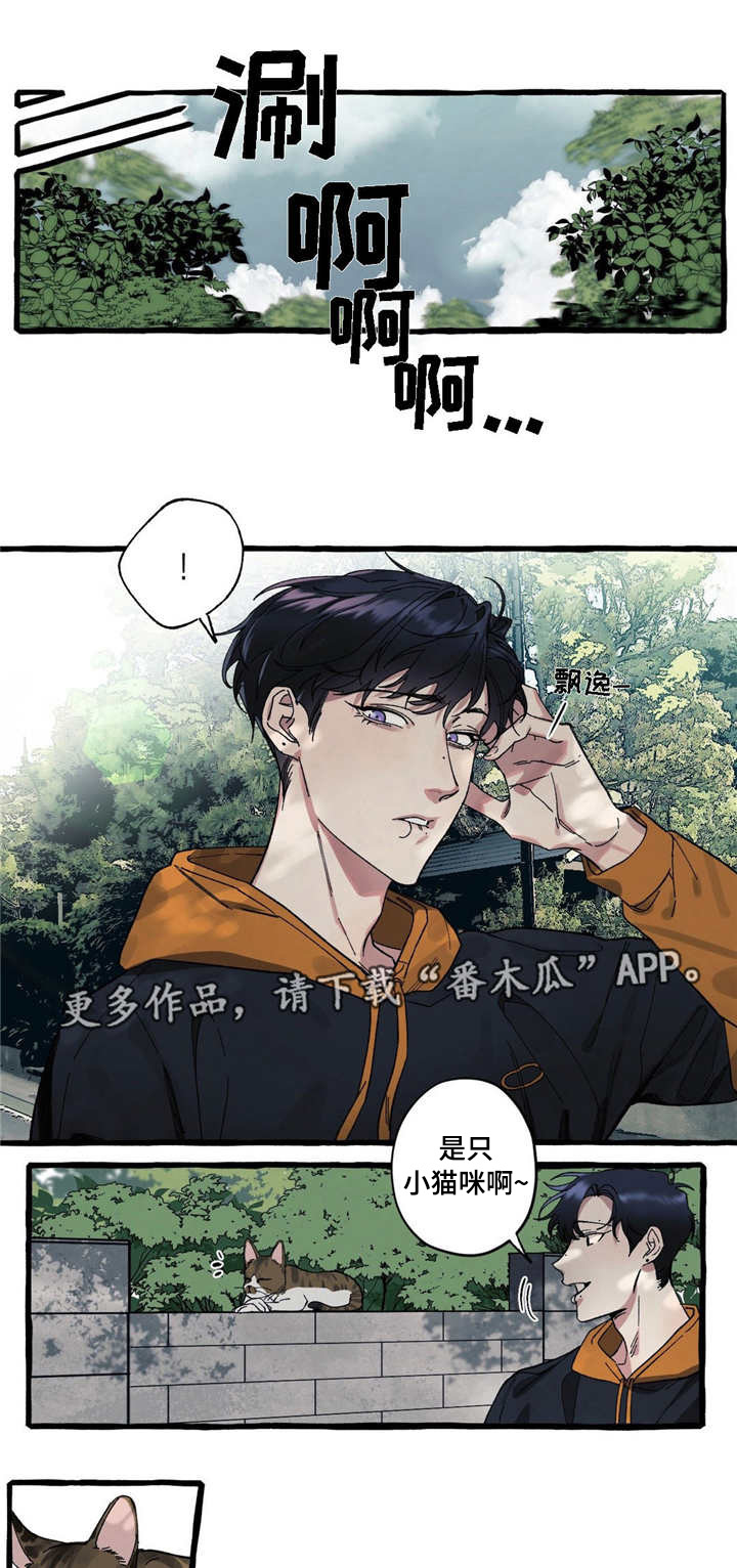 隐藏应用漫画,第17章：可爱1图