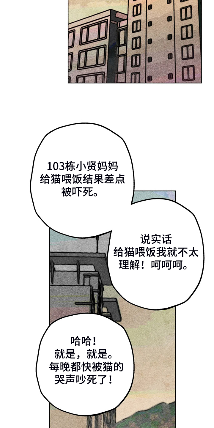 凝视人性漫画,第93章：是达云杀了猫2图