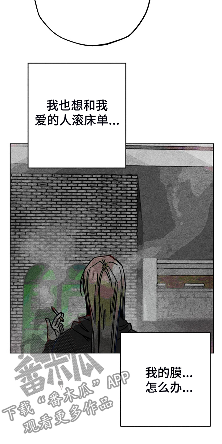 凝视人生的杨漫画,第90章：只有我纠结2图