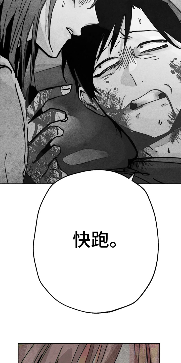 凝视的意思是什么(最佳答案)漫画,第102章：快跑2图