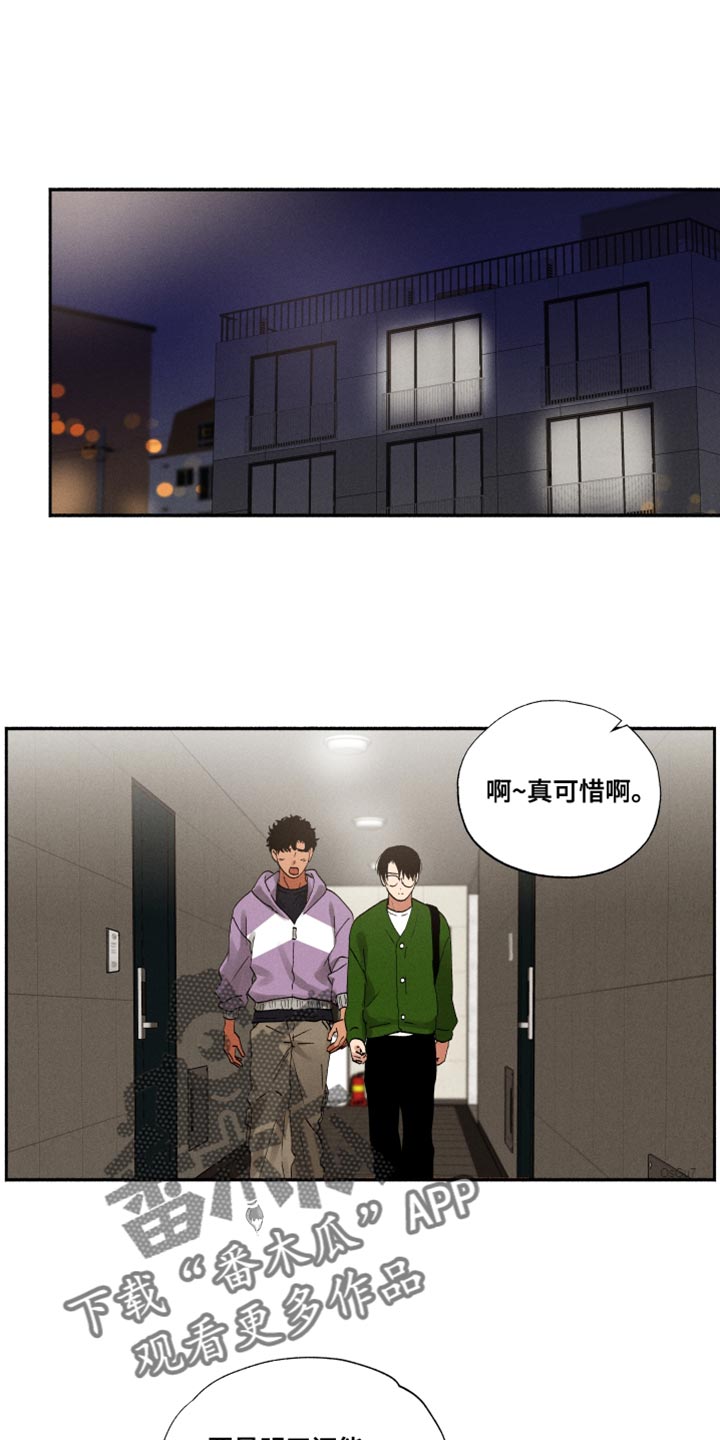 社牛猫漫画,第23章：断掉的眼镜1图