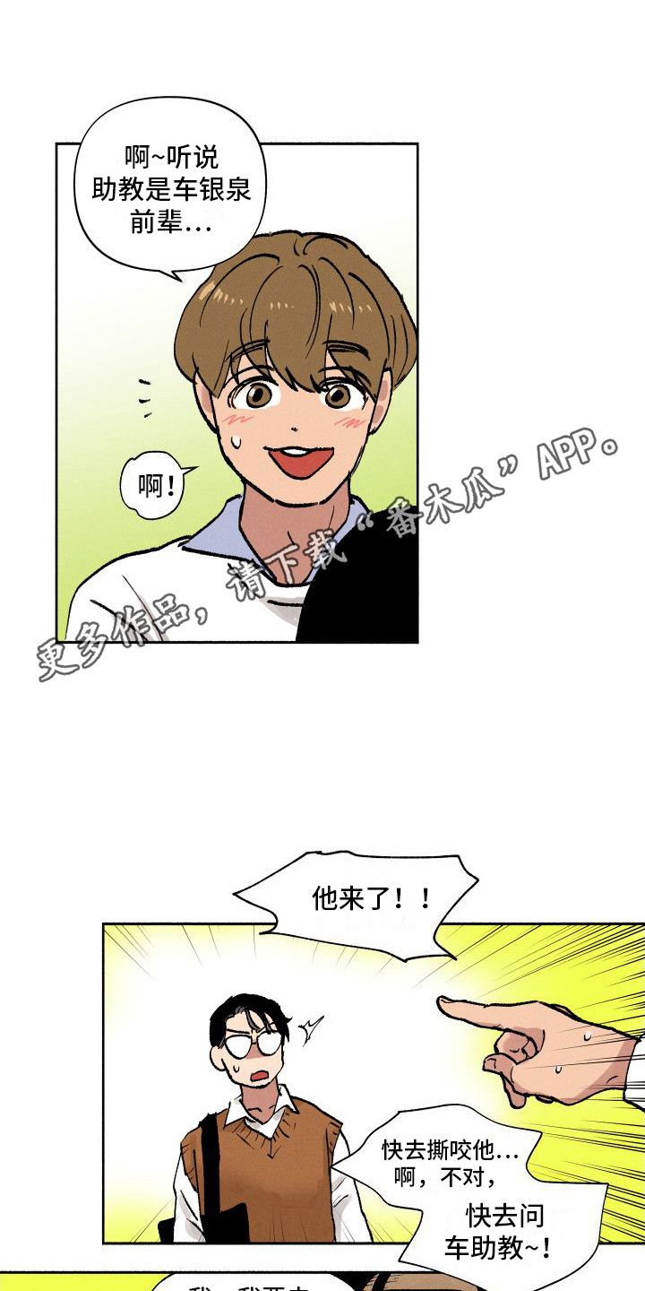 社牛学生文案漫画,第4章：又见面了1图