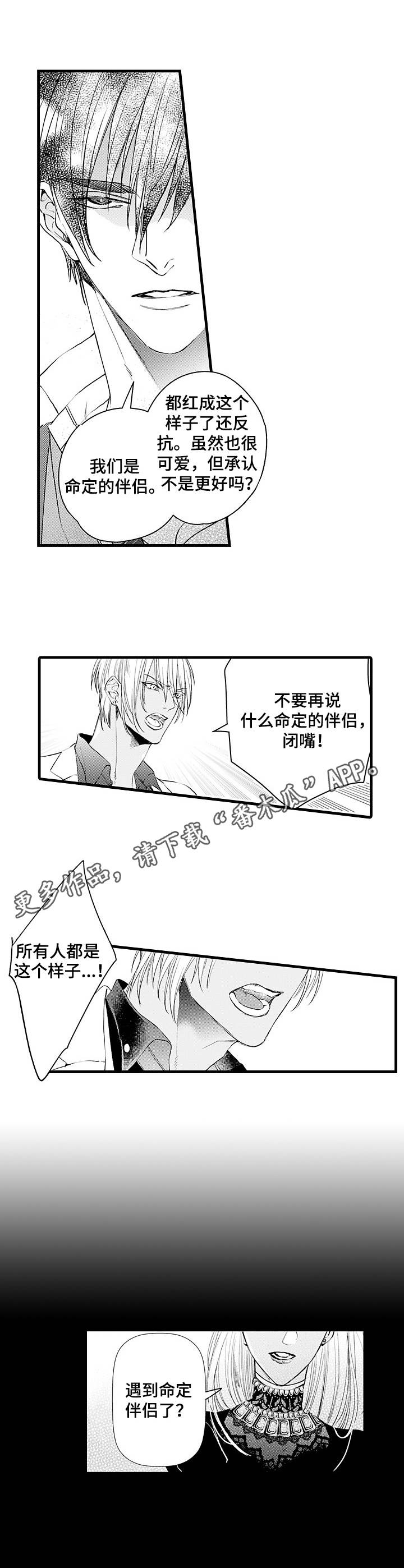 强强对抗第11集漫画,第5章：命定的伴侣2图