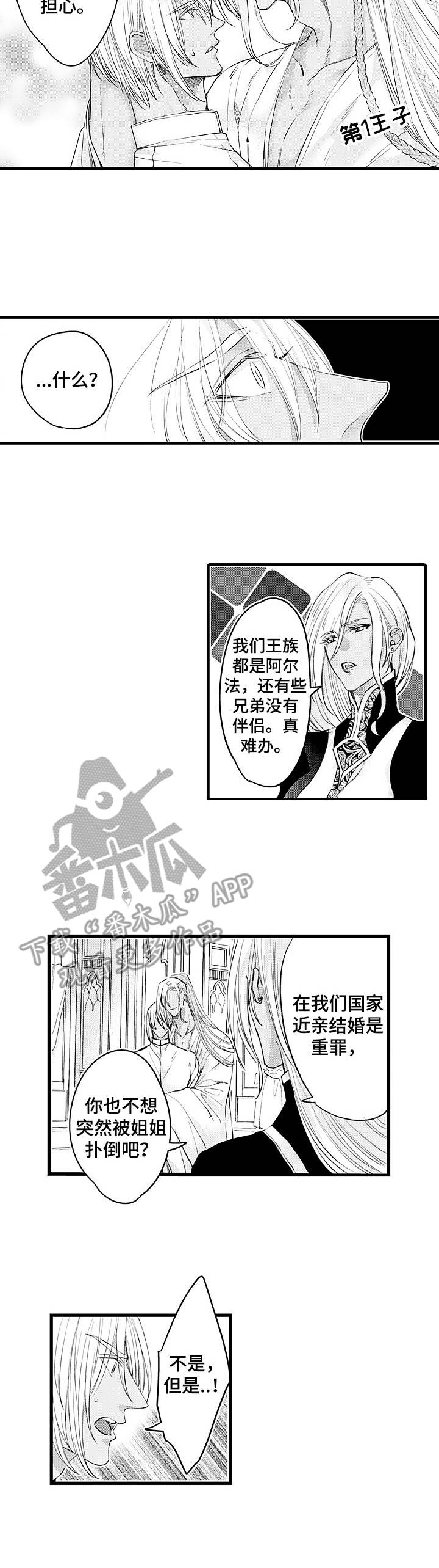 强强对决是什么意思漫画,第16章：王族2图