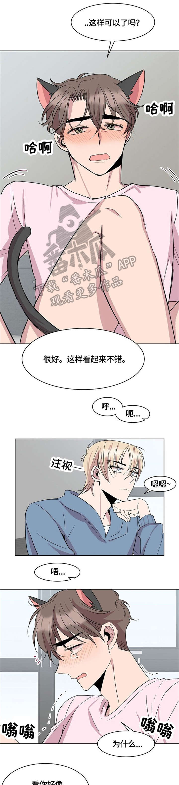 请你收留我吧漫画免费观看漫画,第15章：猫耳1图