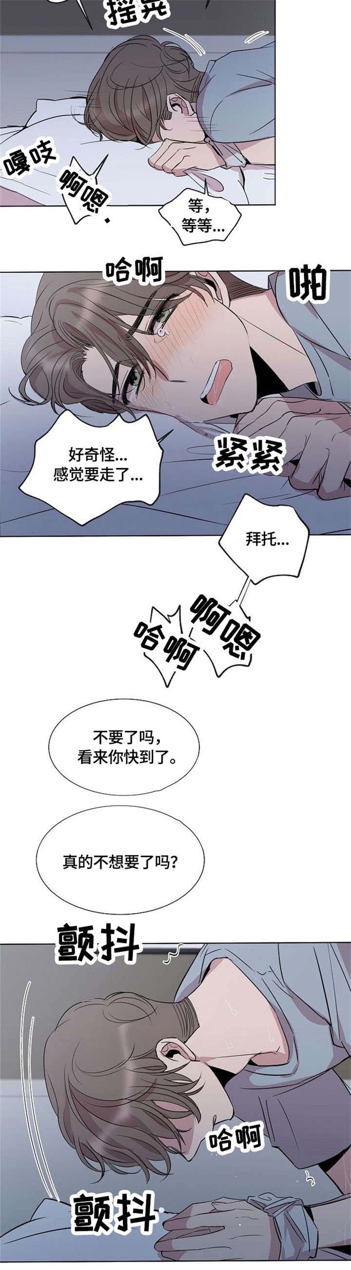 请你收养喵免费阅读漫画,第4章：装1图