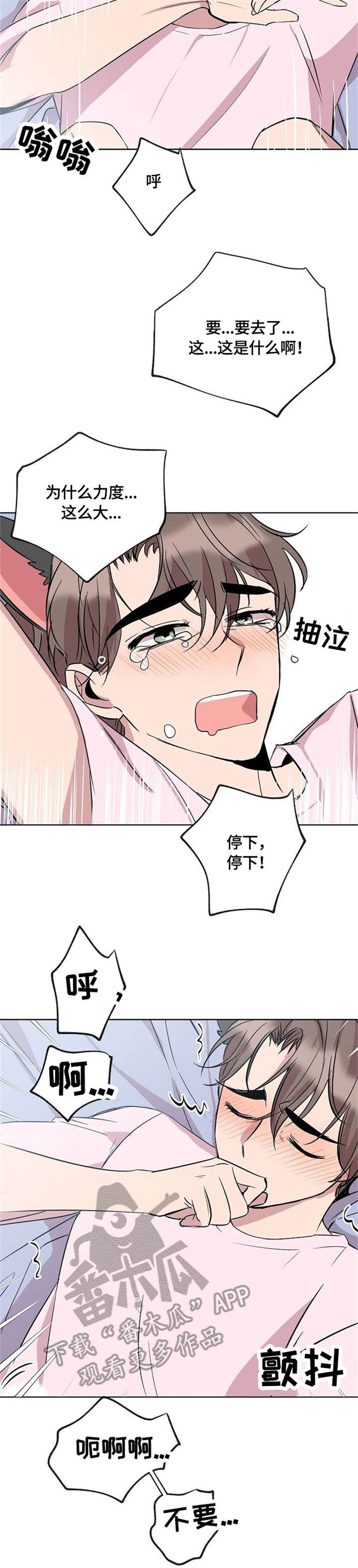 请你收留我吧漫画免费观看漫画,第15章：猫耳1图