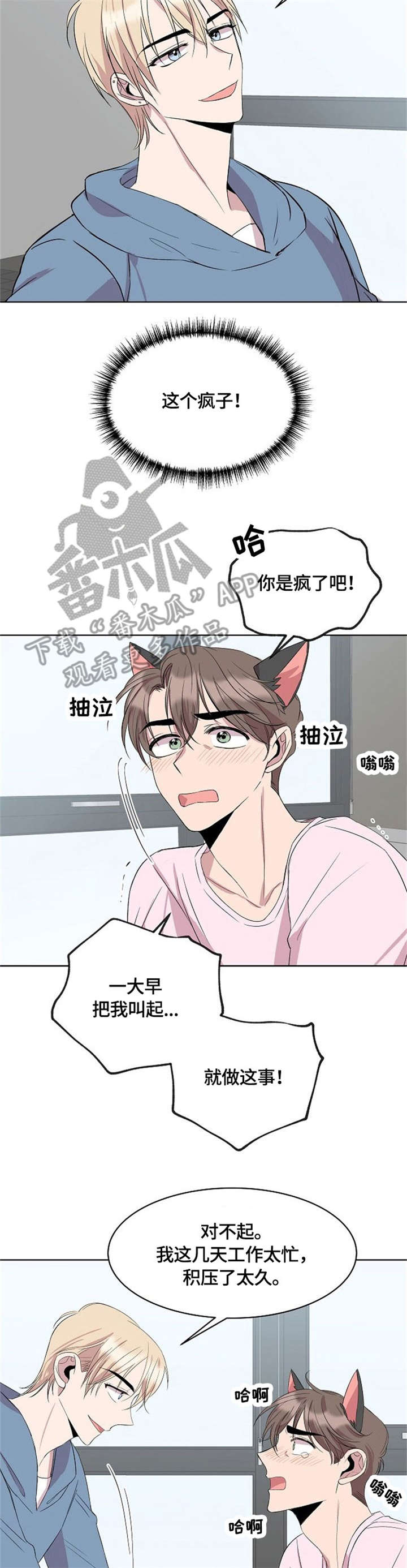 请你收留我吧漫画免费观看漫画,第15章：猫耳2图