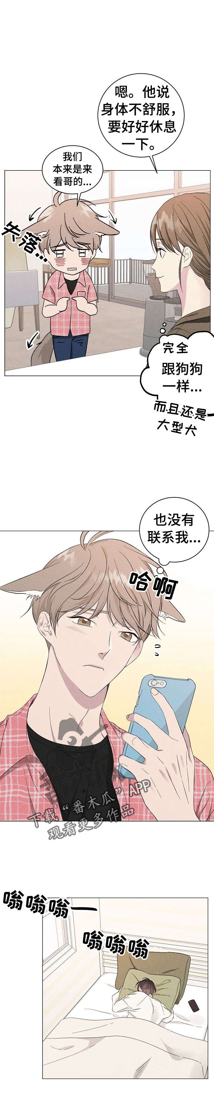 在什么地方能找到影子漫画,第10章：上门2图