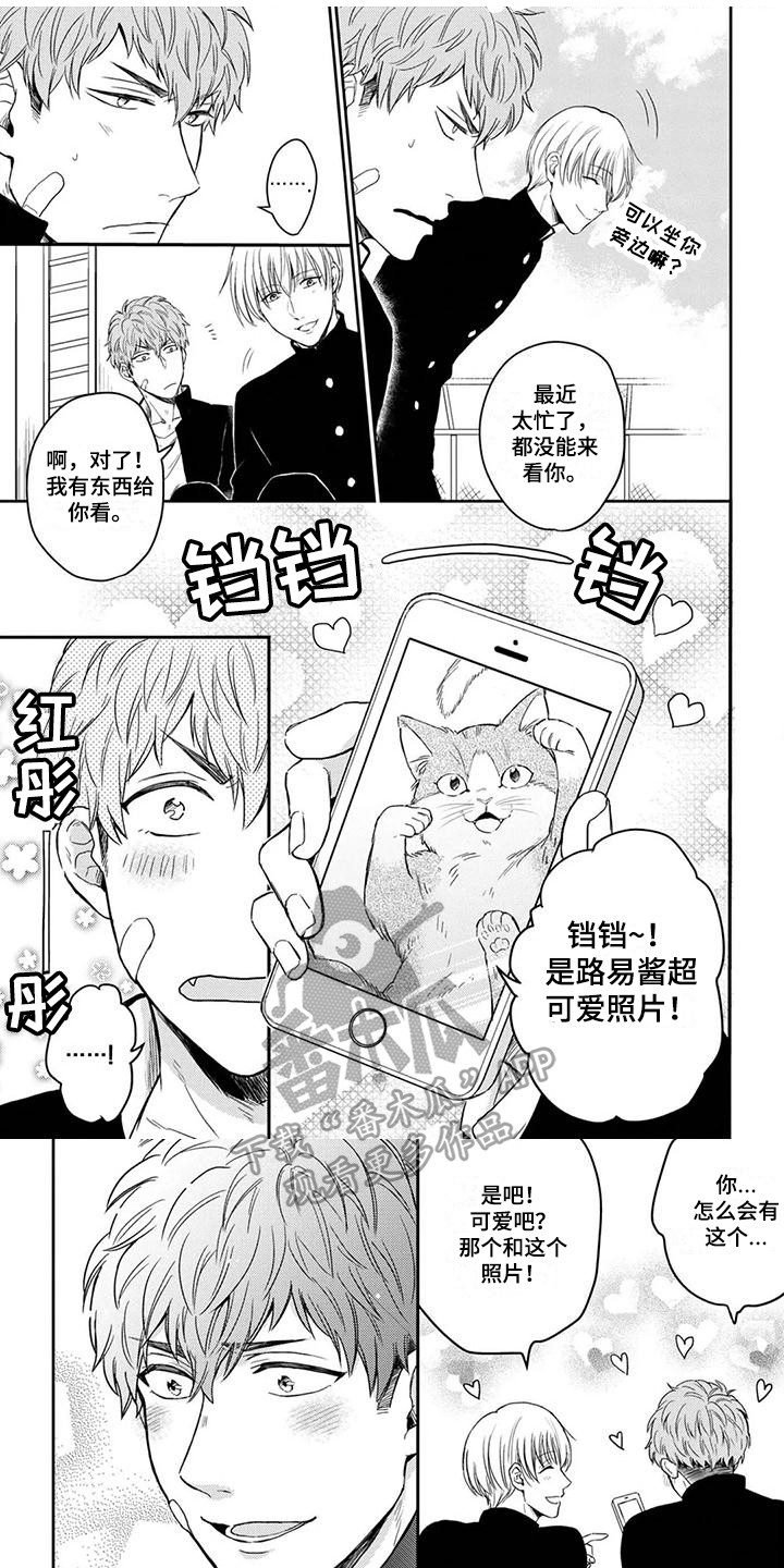 猫系男孩漫画,第6章：摊牌1图