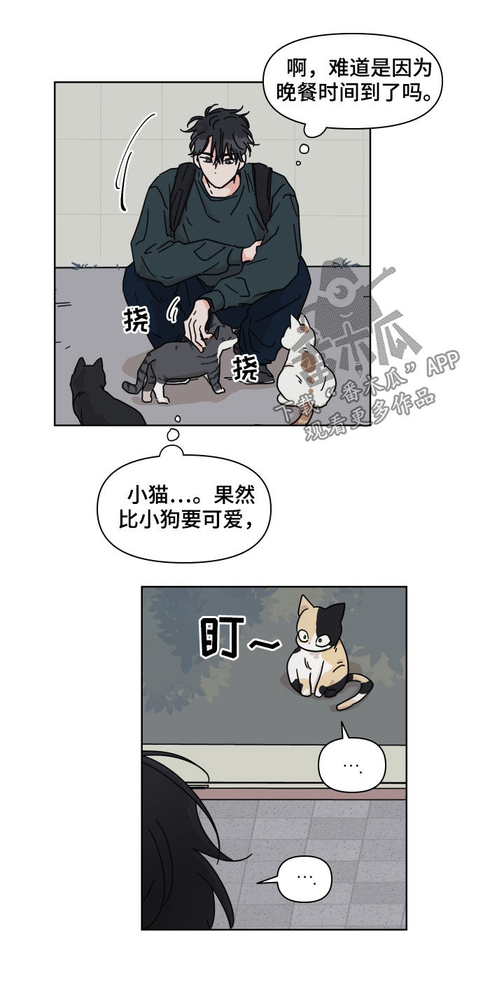 幻想观察者在哪漫画,第70章：【第二季】我呢2图