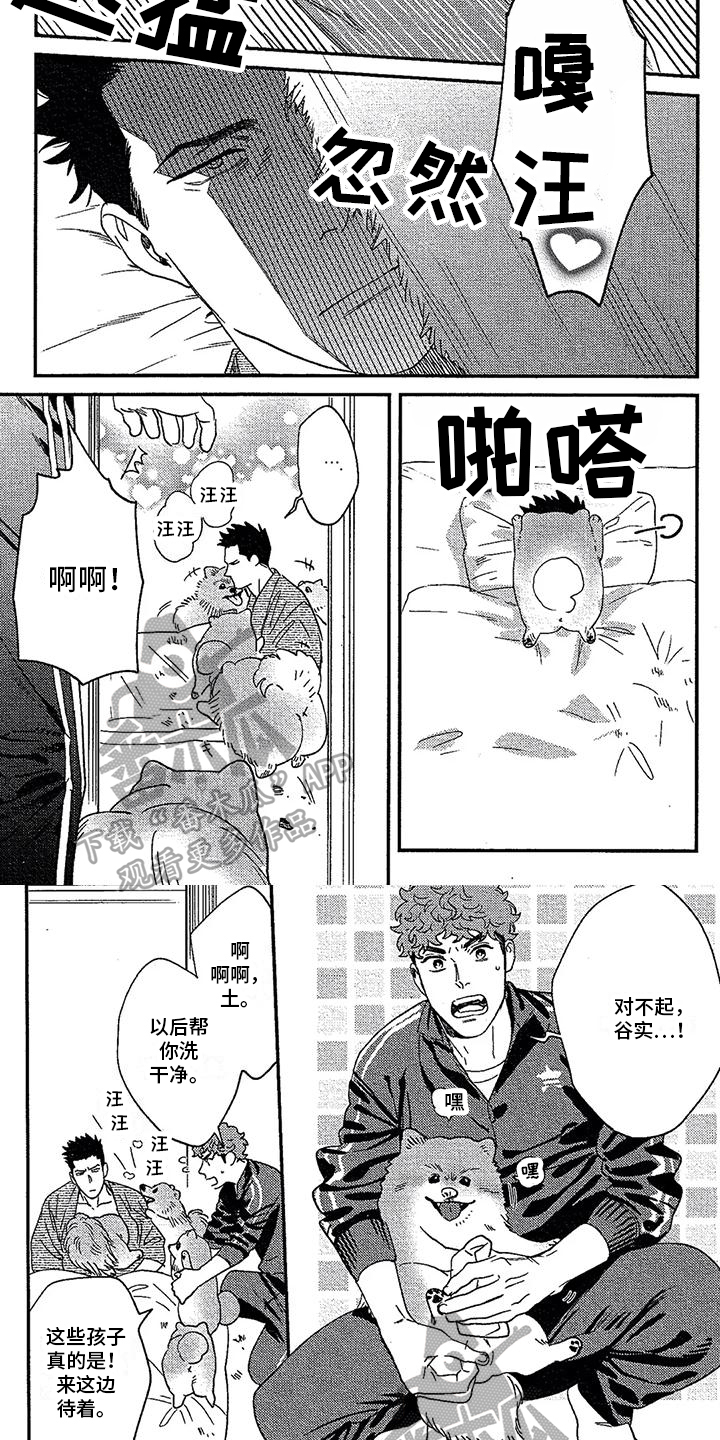 情债难还诗句漫画,第18章：收养2图