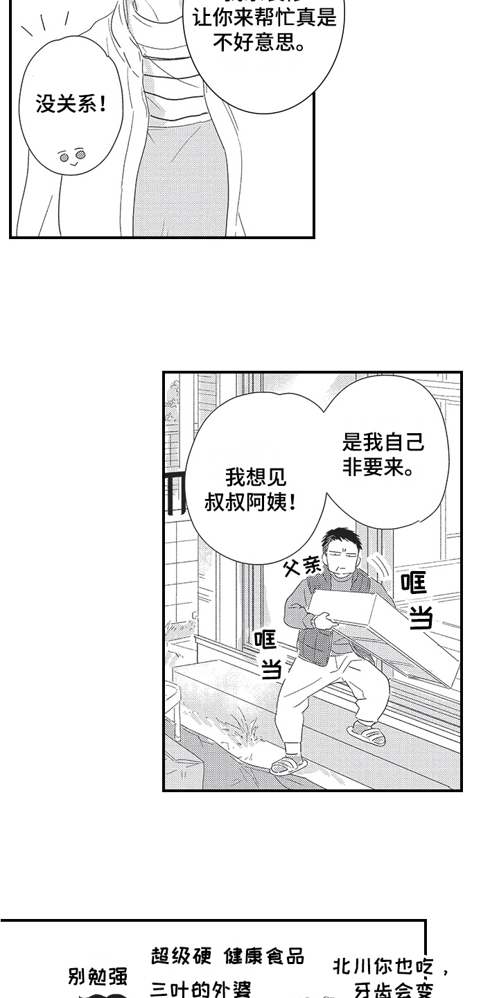 三叶之木漫画,第24章：决定2图
