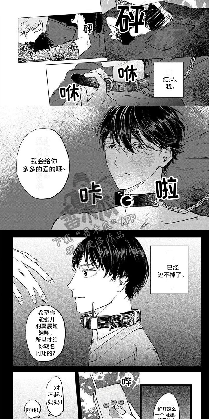 不懂爱的年纪却选择了婚姻漫画,第9章：不会有错2图