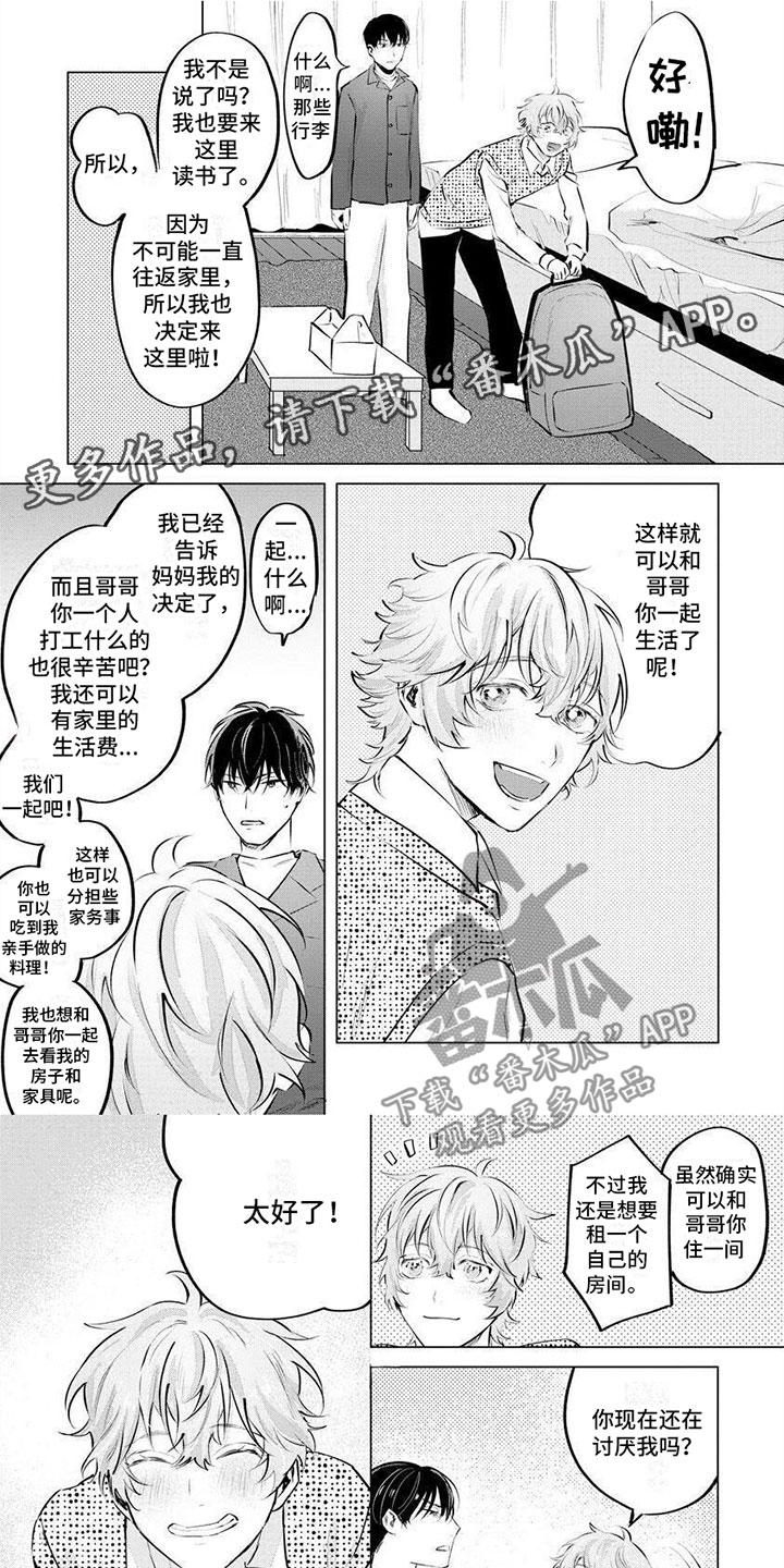 不懂爱的情歌全文免费漫画,第4章：一起生活1图