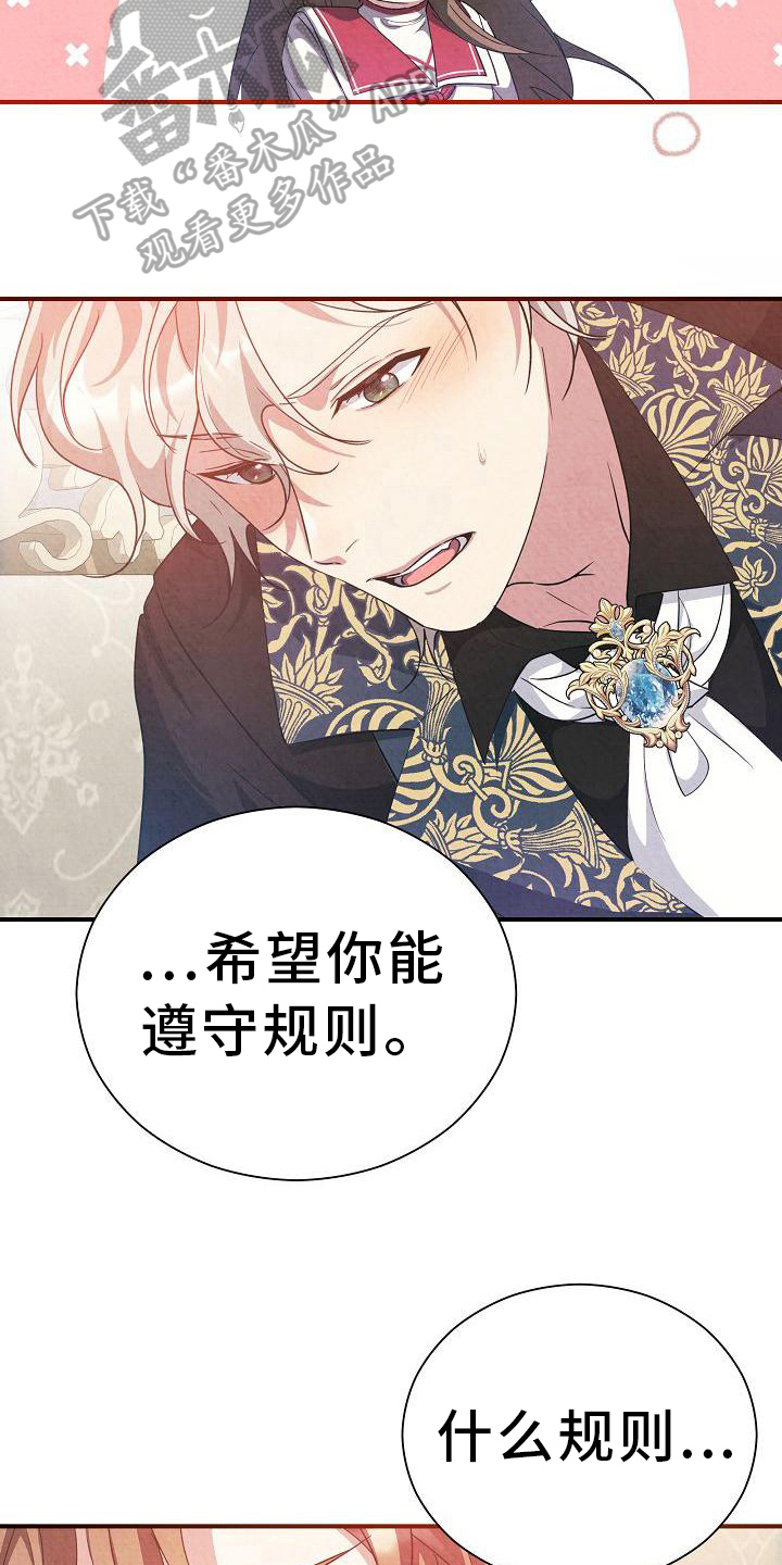 铁墙夫人漫画,第17章：遵守规则1图