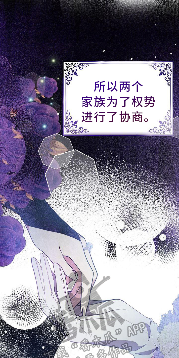 铁墙夫人漫画,第23章：紧急事件1图