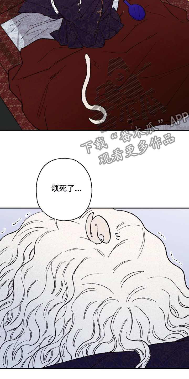 仙嫁之旅漫画免费漫画在线阅读非麻瓜漫画漫画,第127章：【第三季】让我看看1图