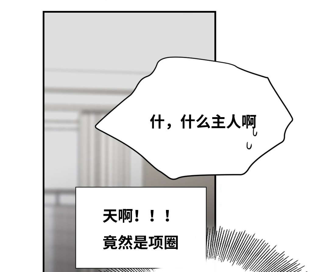 印迹造句漫画,第10章：背后写字2图