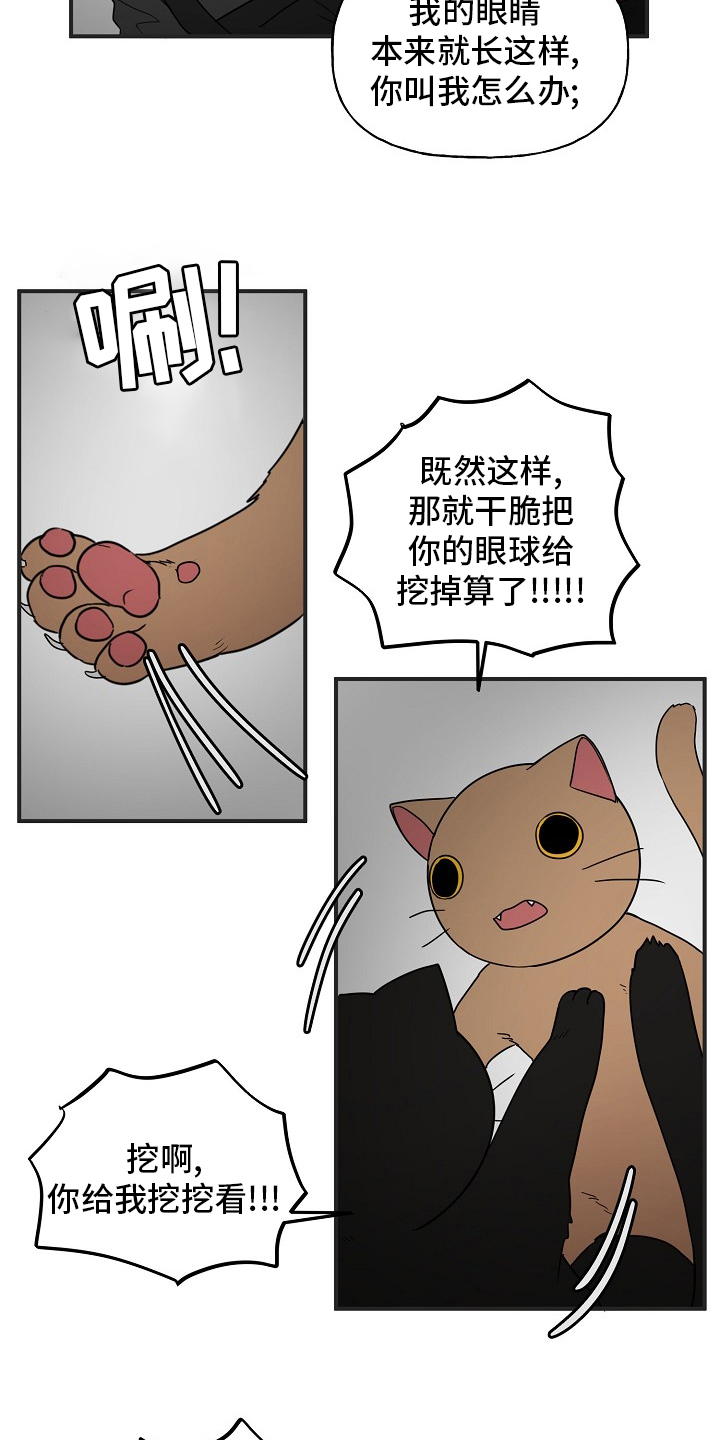 幸运猫咪图片漫画,第39章：安抚2图