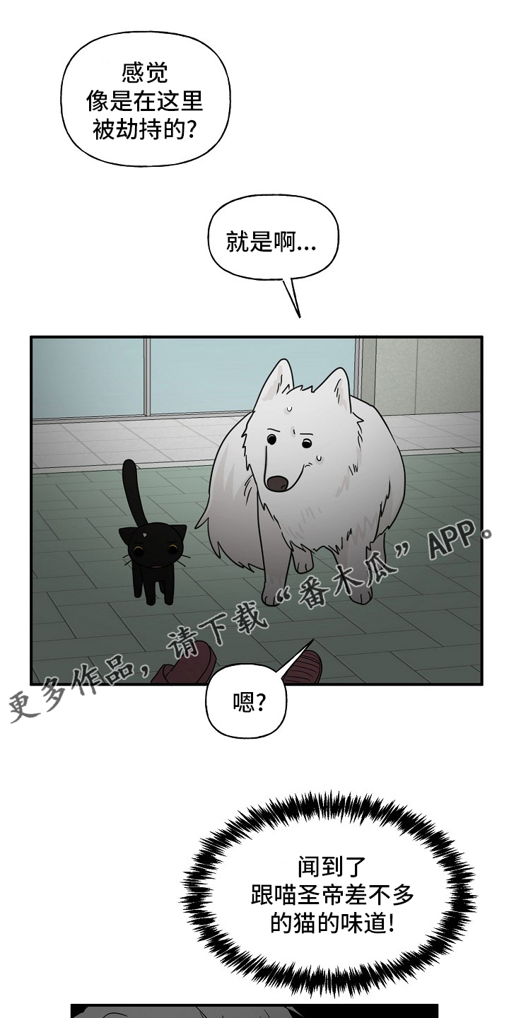 幸运猫漫画,第37章：住手1图