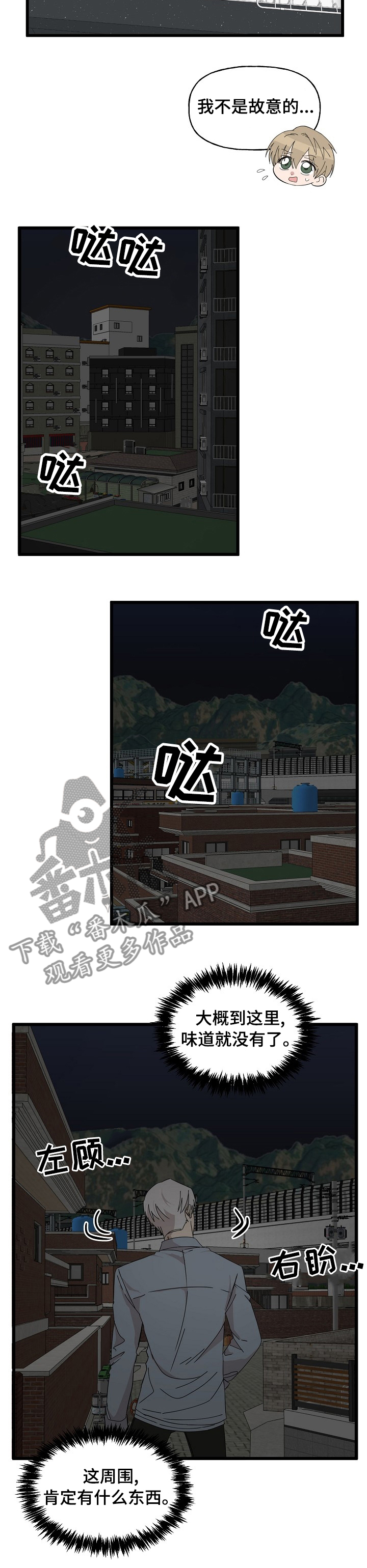 幸运猫咪英文怎么说漫画,第29章：相册1图