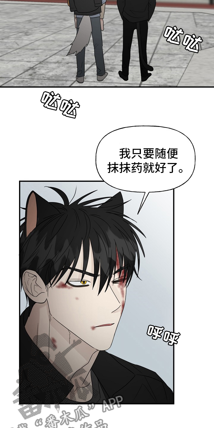 幸运猫漫画,第40章：一起回家吧2图