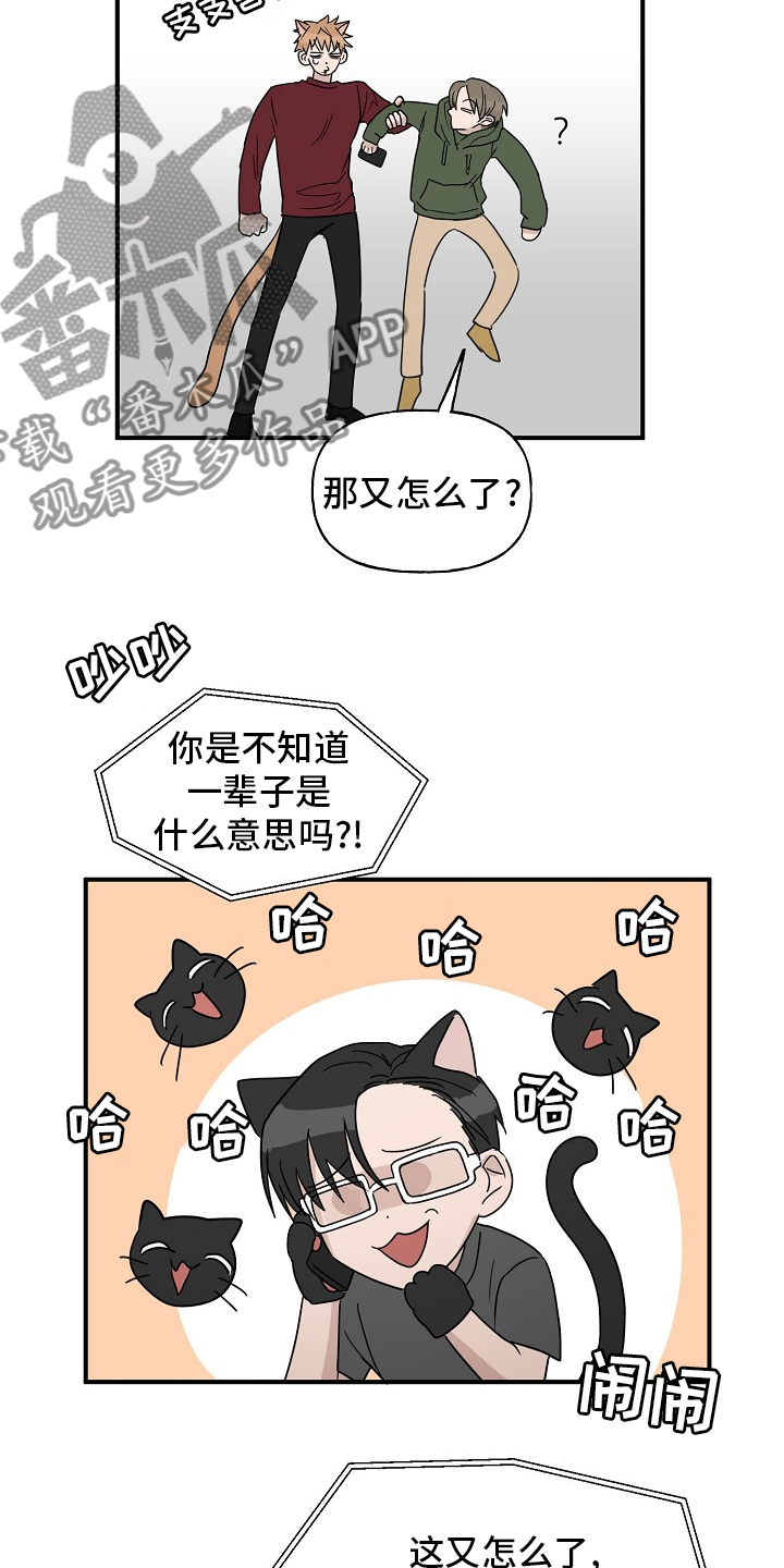 幸运猫cat漫画,第43章：【完结】跟我一起1图