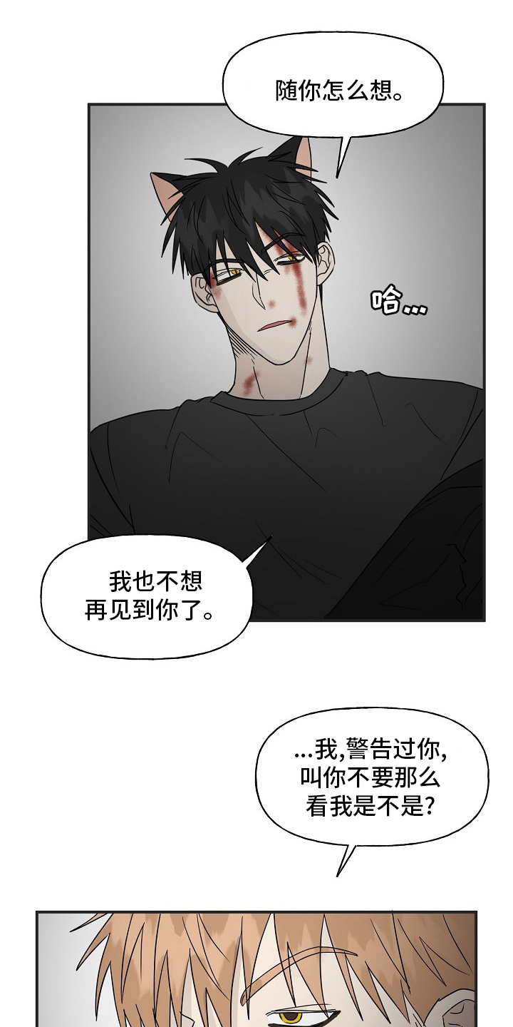 幸运猫咪图片漫画,第39章：安抚2图