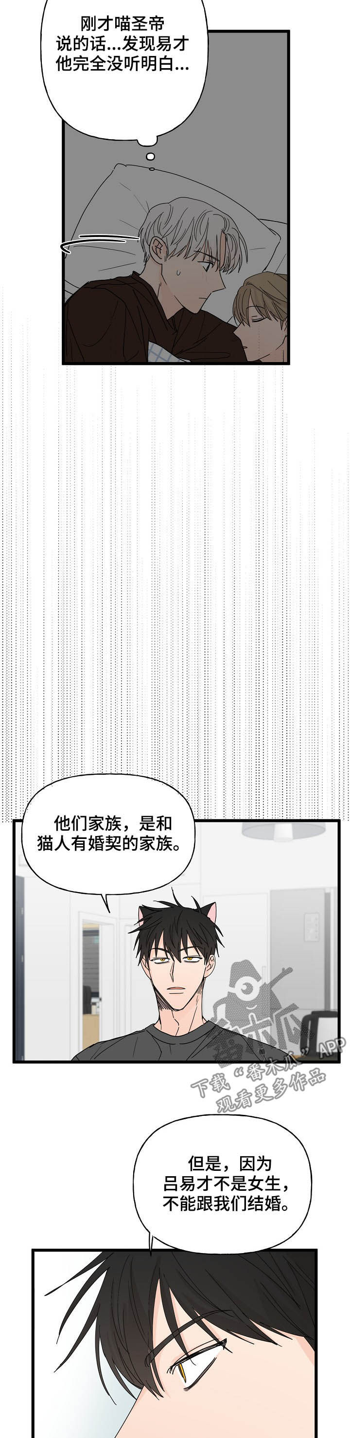 幸运猫妖漫画,第13章：诅咒1图