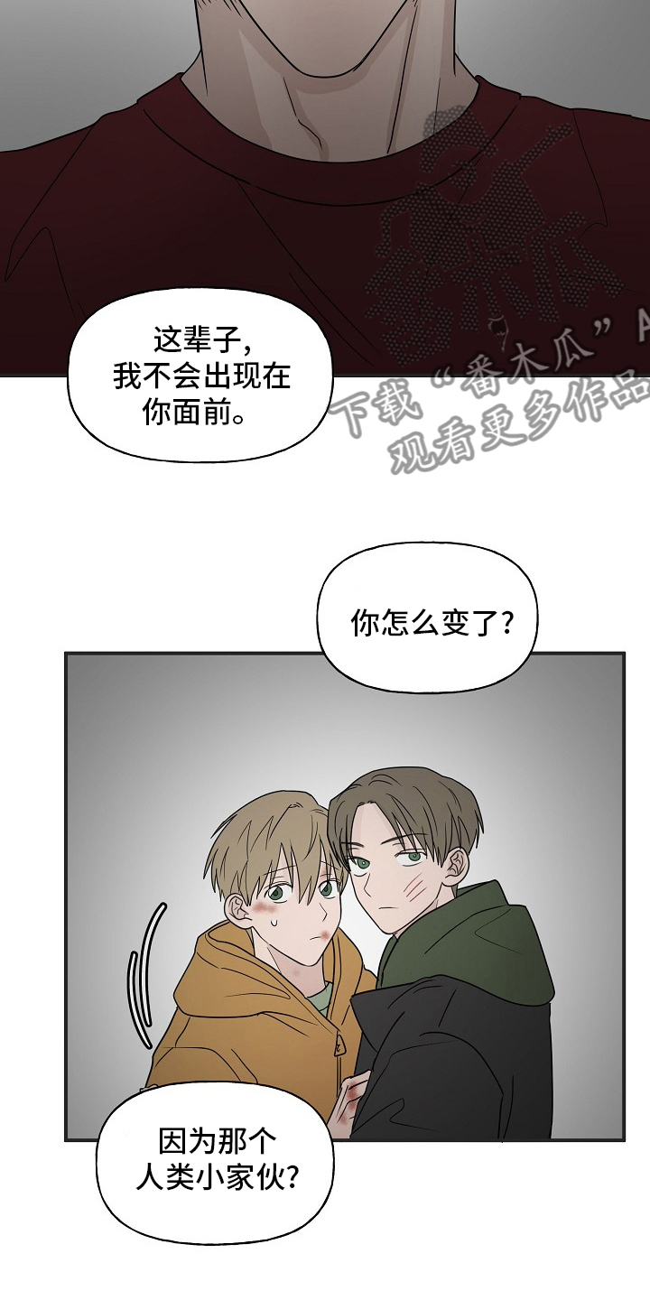 幸运猫咪图片漫画,第39章：安抚1图