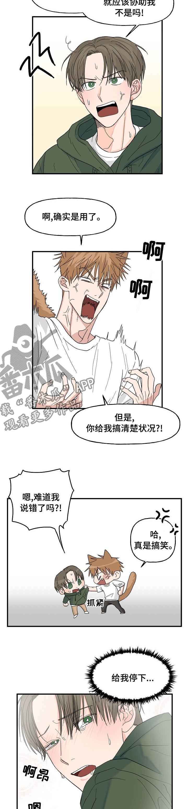 幸运猫装饰漫画,第21章：配合1图