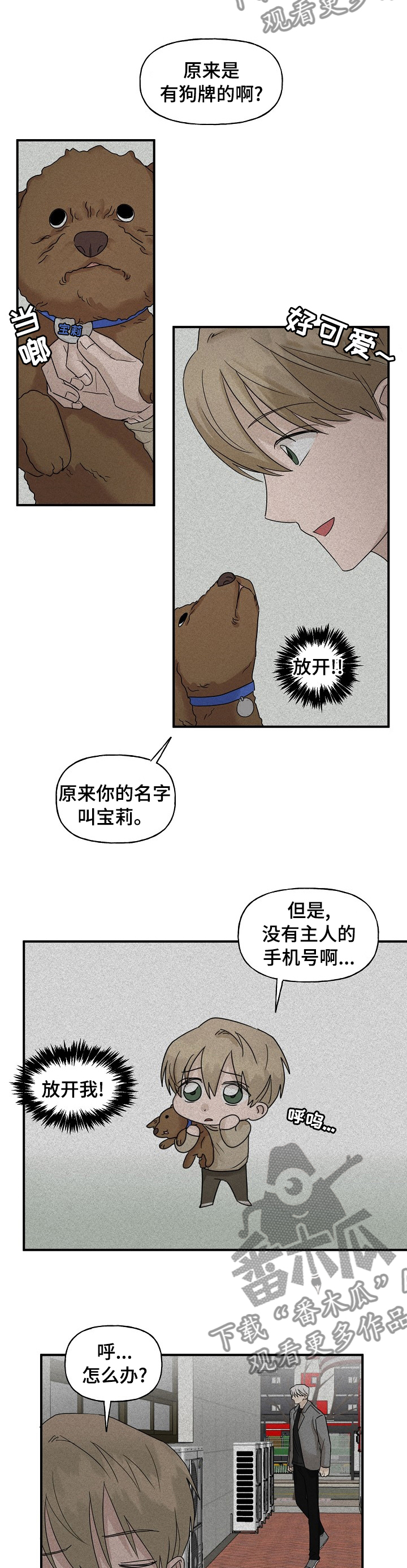 幸运猫纯手工漫画,第30章：帮忙1图