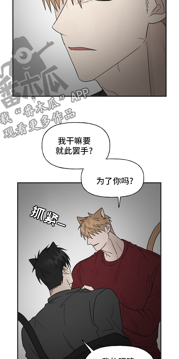 幸运猫咪图片漫画,第39章：安抚1图