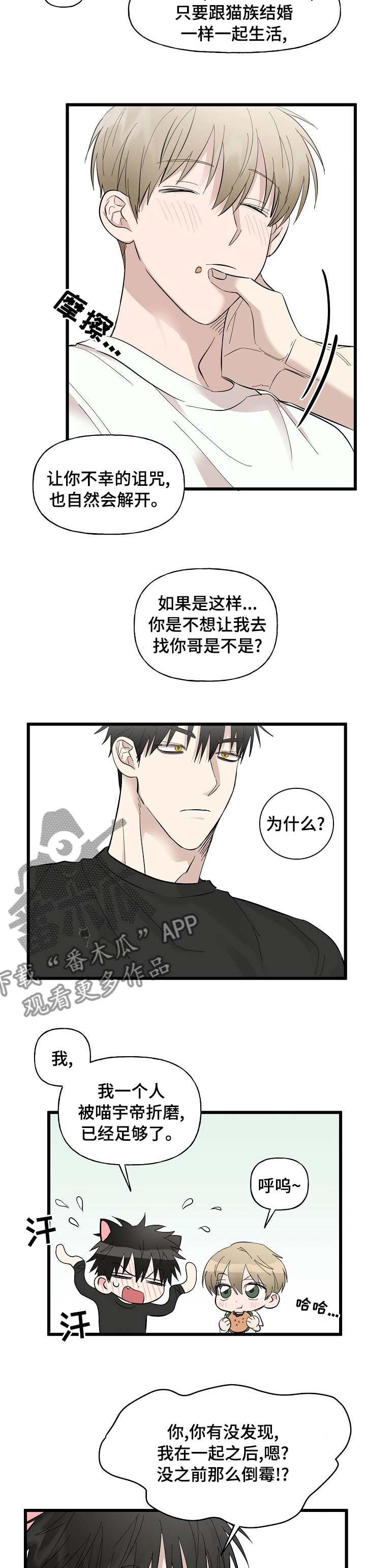 幸运猫美术漫画,第29章：相册2图