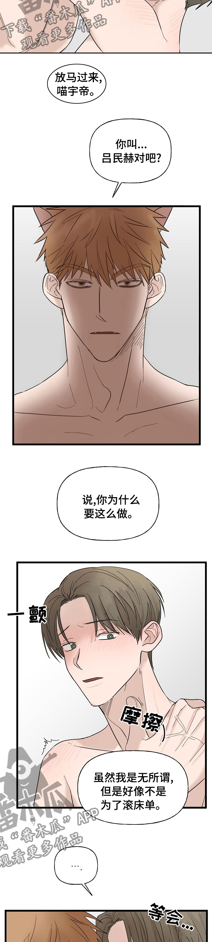 幸运猫插画漫画,第26章：替罪羊2图