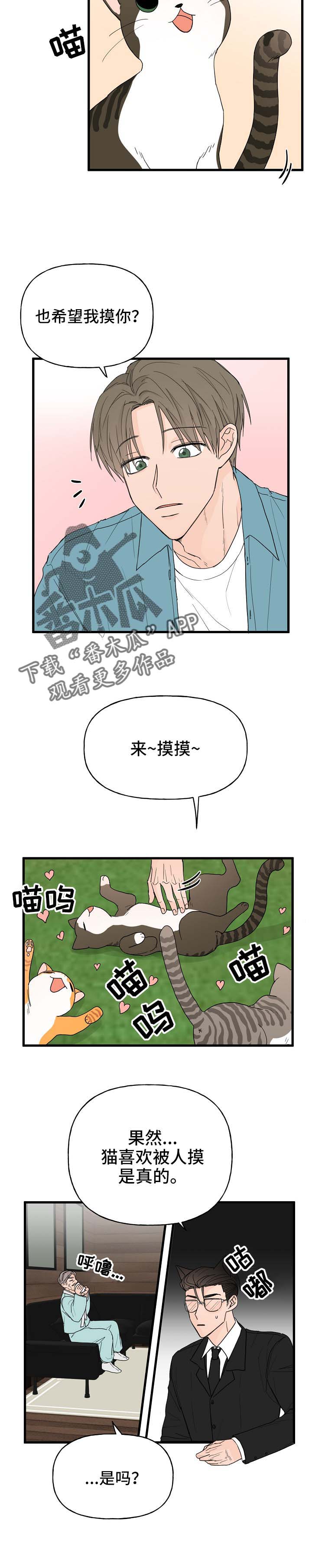 幸运猫四件套漫画,第14章：我行我素2图