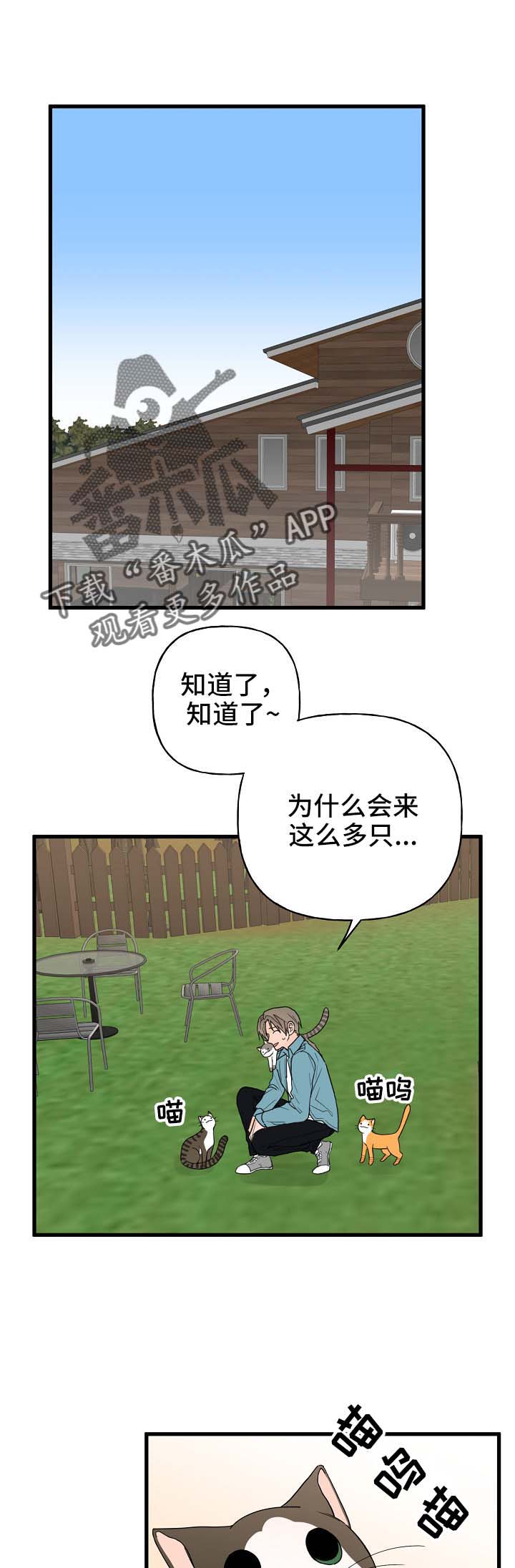 幸运猫四件套漫画,第14章：我行我素1图