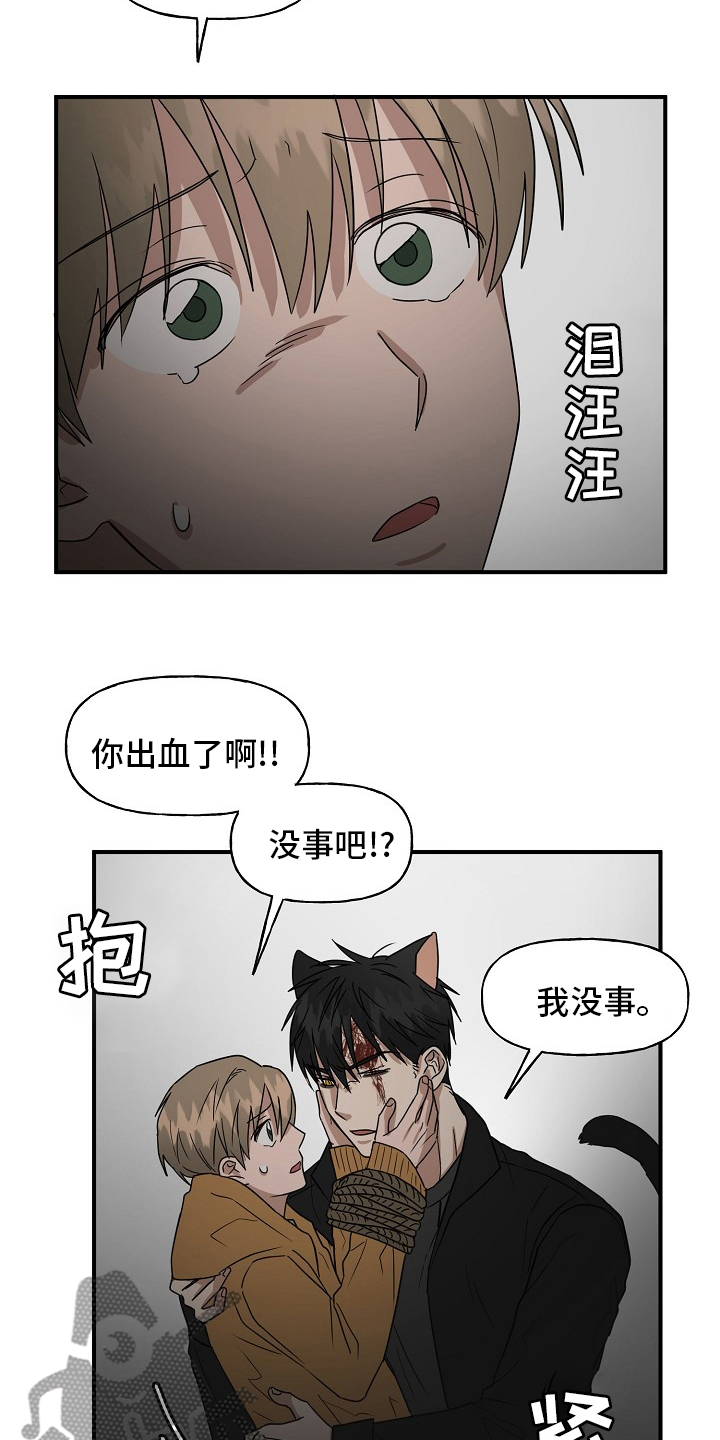 幸运猫电视剧漫画,第37章：住手2图