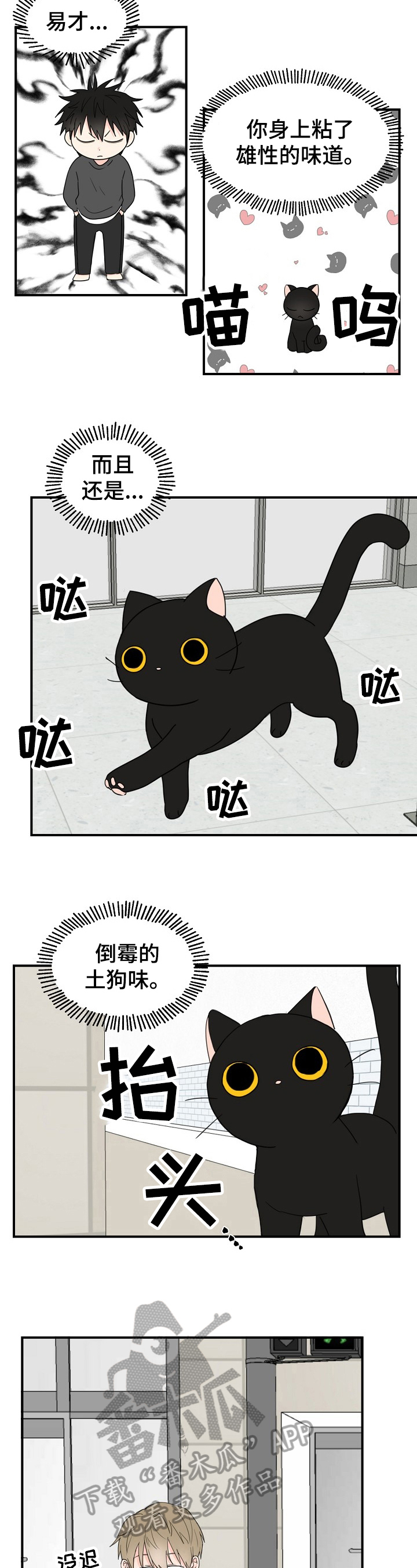 幸运猫最新下载漫画,第4章：奇怪1图