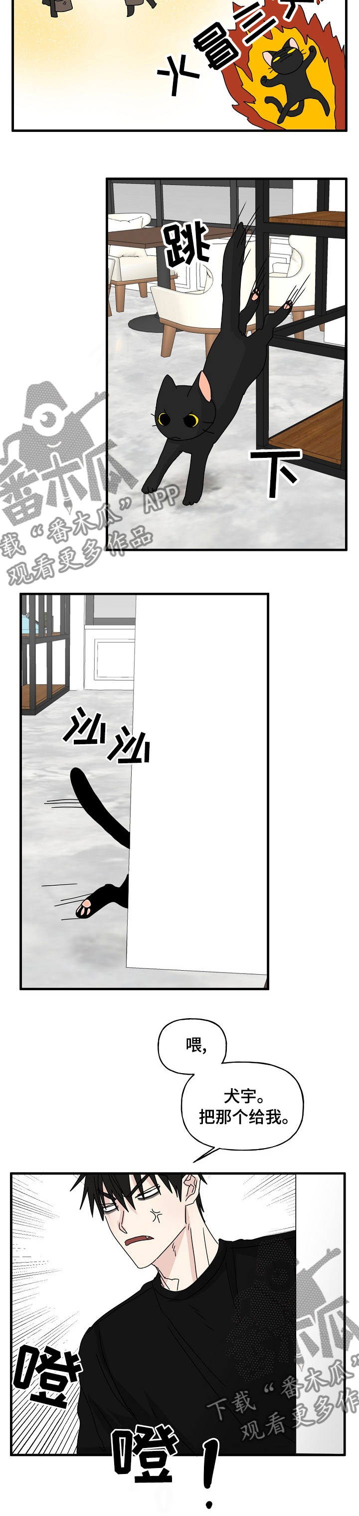 幸运猫排三漫画,第20章：看不下去了1图