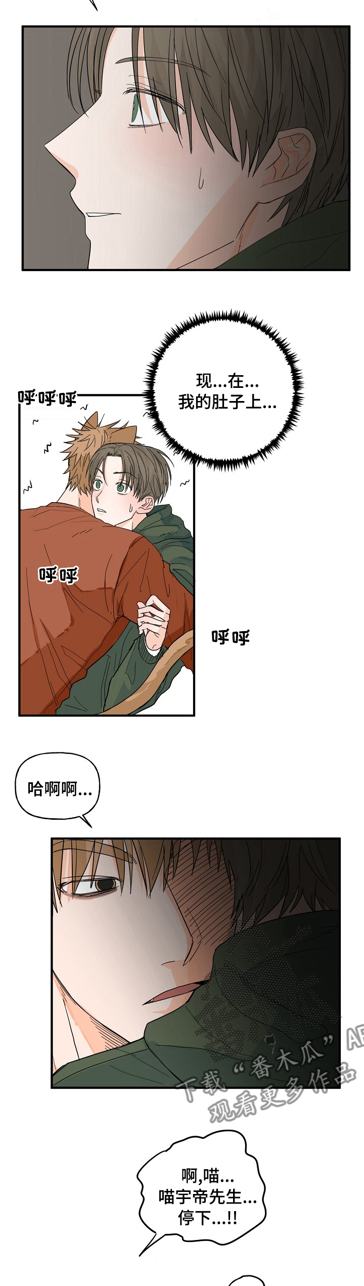 幸运猫扎尔漫画,第19章：有点特别2图