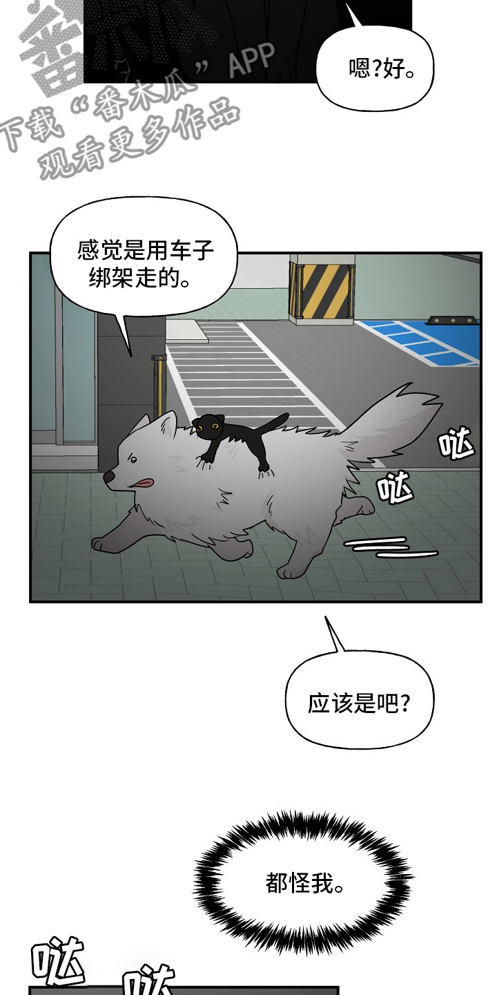 幸运猫是什么漫画,第37章：住手1图