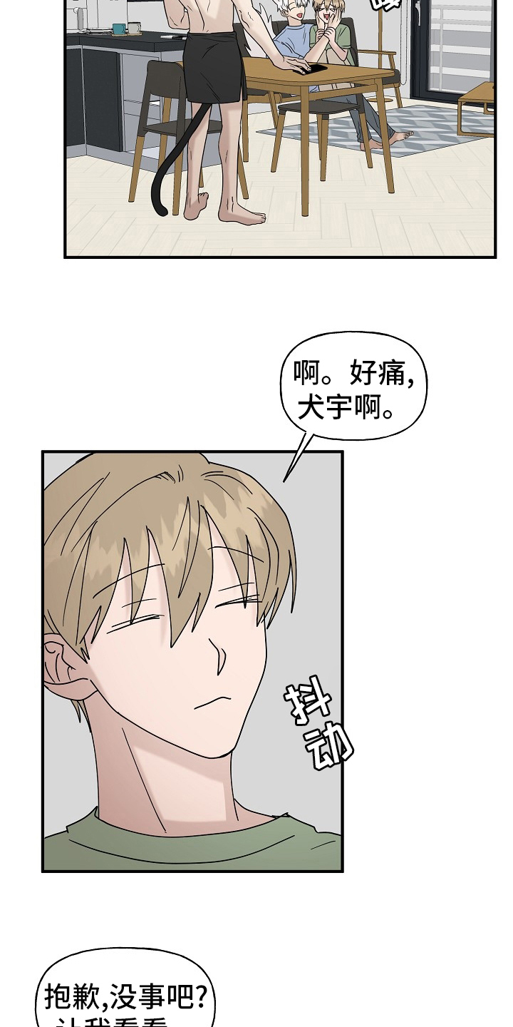 幸运猫头像漫画,第40章：一起回家吧1图