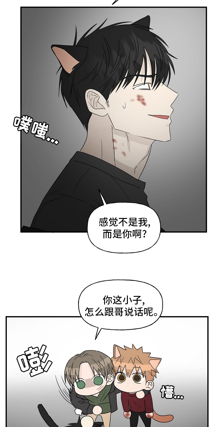 幸运猫女漫画,第38章：特殊能力2图