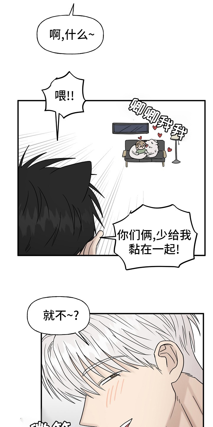 幸运猫头像漫画,第40章：一起回家吧1图