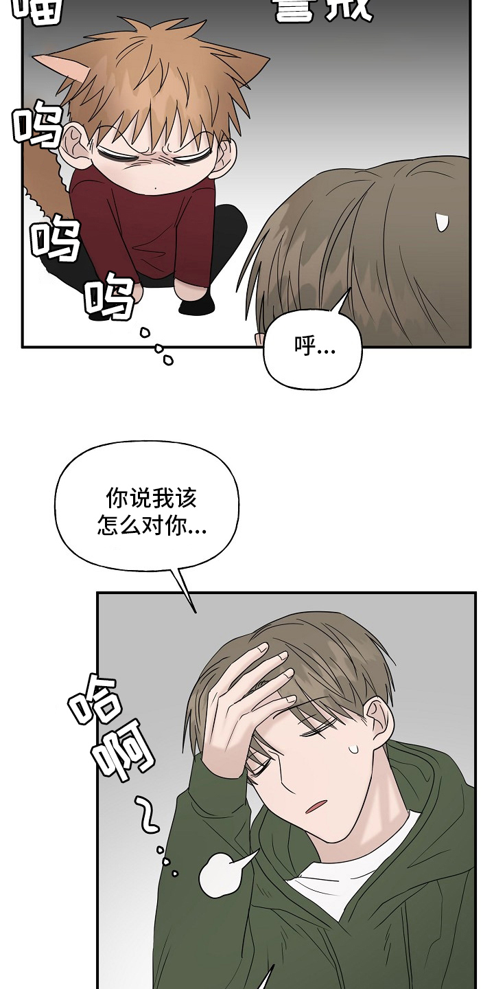 幸运猫公仔漫画,第42章：继续1图