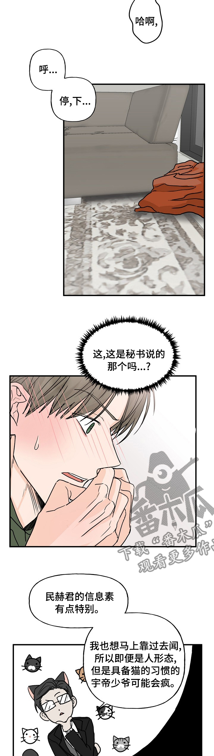 幸运猫咖漫画,第19章：有点特别1图