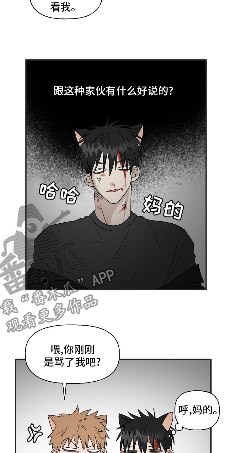 幸运猫咪图片漫画,第39章：安抚2图